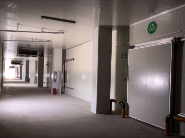 建造200噸的肉類冷鏈冷凍庫如何做好規(guī)劃設(shè)計？