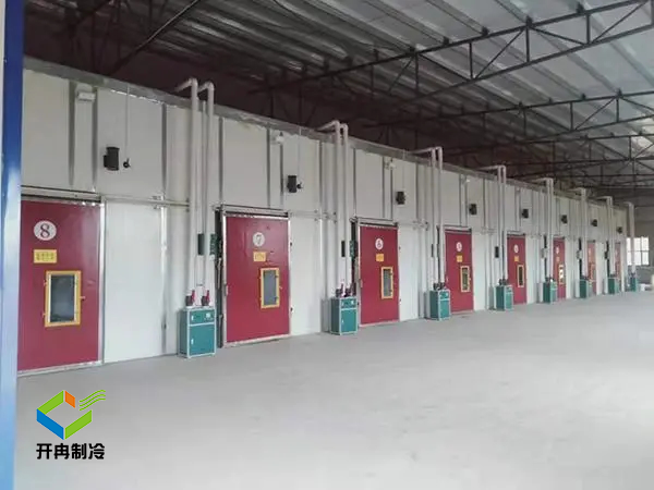 建造1000噸的水果冷庫 需要多大的冷庫場(chǎng)地 建造1000噸的水果冷庫 需要多大的冷庫場(chǎng)地