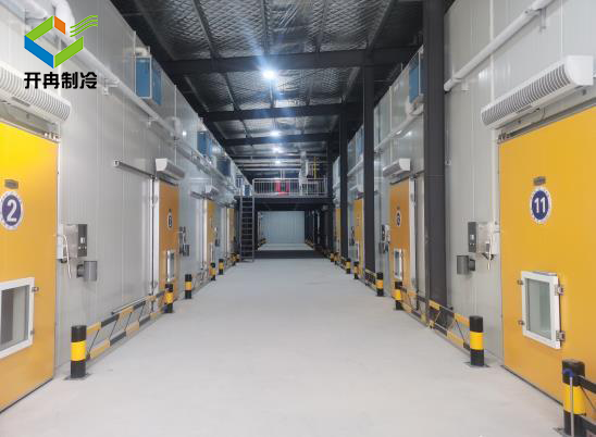 醫(yī)藥冷庫安裝后可以存放什么物品 醫(yī)藥冷庫安裝后可以存放什么物品