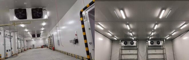 黃梅兩山農業(yè)食品加工冷庫（小龍蝦冷凍庫)新工程案例