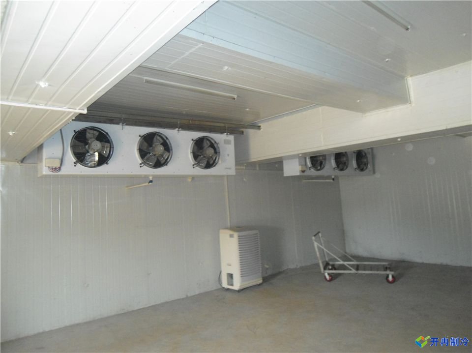 一個500平水果氣調(diào)保鮮冷庫設(shè)計(jì)