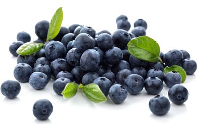 果蔬藍莓氣調(diào)庫保鮮貯藏技術