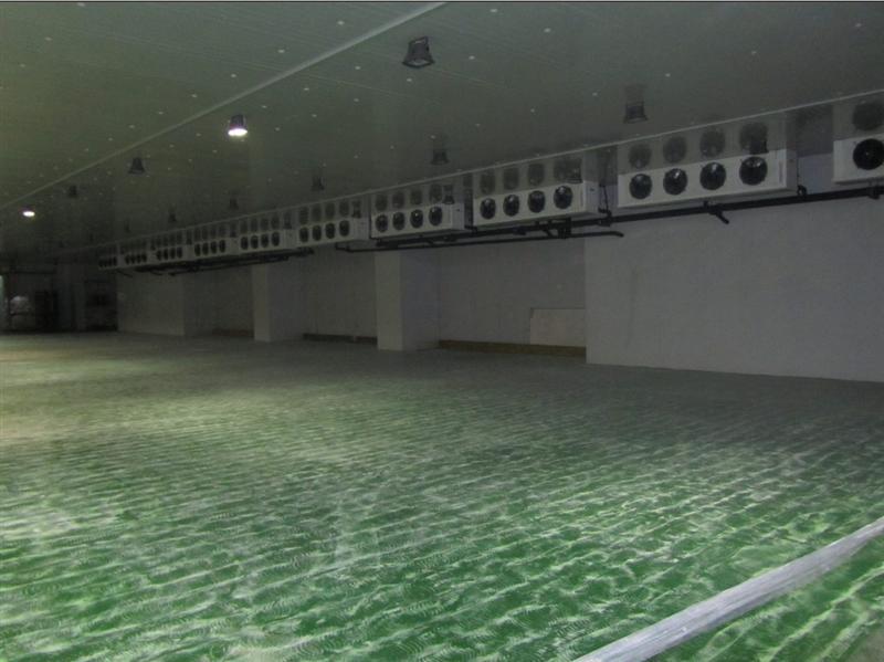 食品速凍冷庫安裝設計，速凍冷庫工作原理