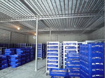 -18~-23℃冷凍庫哪種制冷方式好?(冷風機,鋁排)