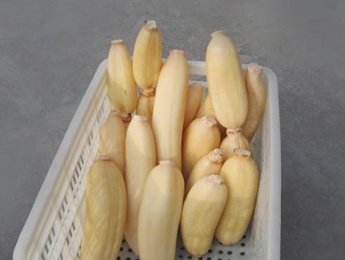 建造蓮藕冷藏庫多少錢一平，100噸的蓮藕要多大庫