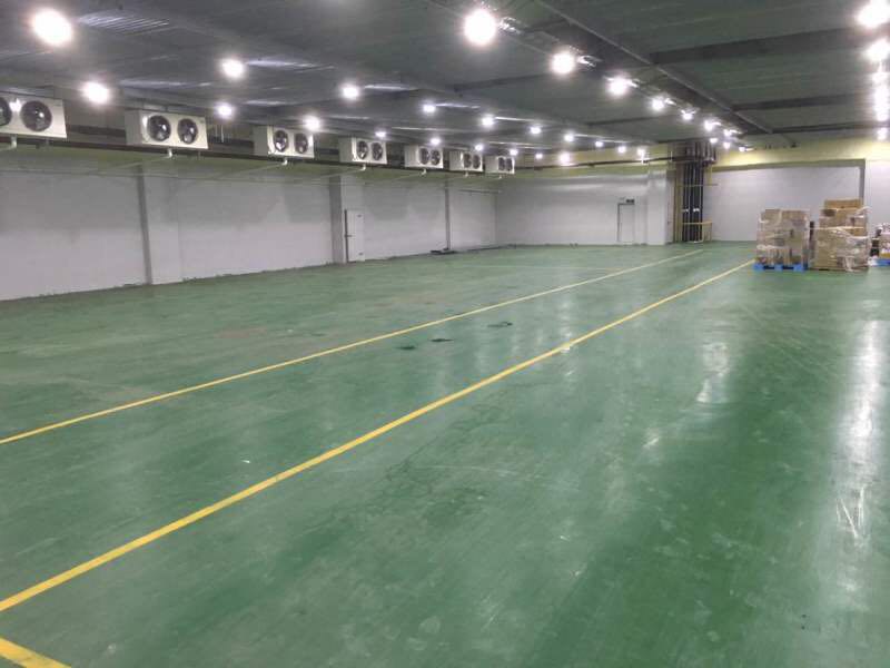 800平蘋果冷庫設計，水果冷藏庫安裝