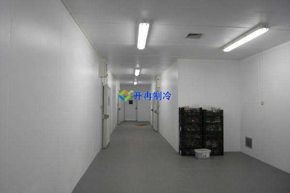 定制酒店冷凍庫、食堂雙溫庫、餐飲冷藏庫工程造價